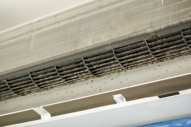 Best HVAC Air Duct Cleaning  in Salida, CO